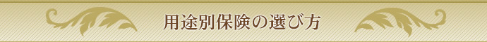 用途別保険の選び方