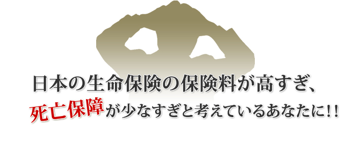 日本の生命保険の保険料が高すぎ、死亡保障が少なすぎと考えているあなたに！！